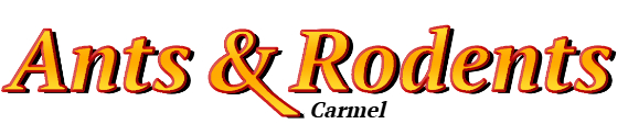 Carmel Ant Exterminator & Rodent Control Company Logo